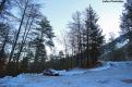 kastuta (42)