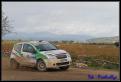 IMG 4241