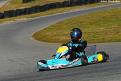0 (81)
