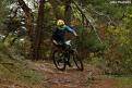 vtt (47)