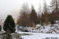 yariswrc  27