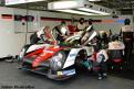 1 (212)