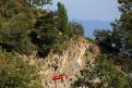 orme (62)